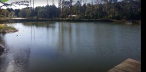 Whistling Duck Cabins Fishing