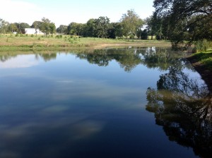 Lake